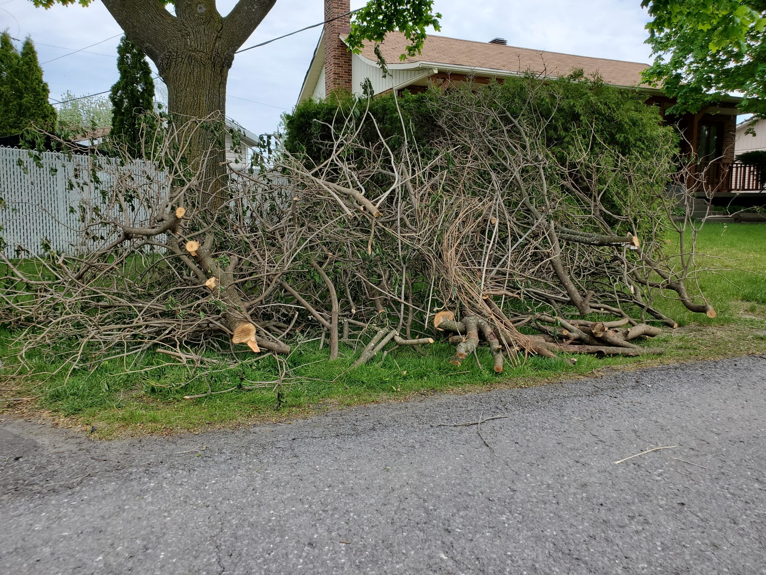 Collecte de branches spéciale suite au verglas