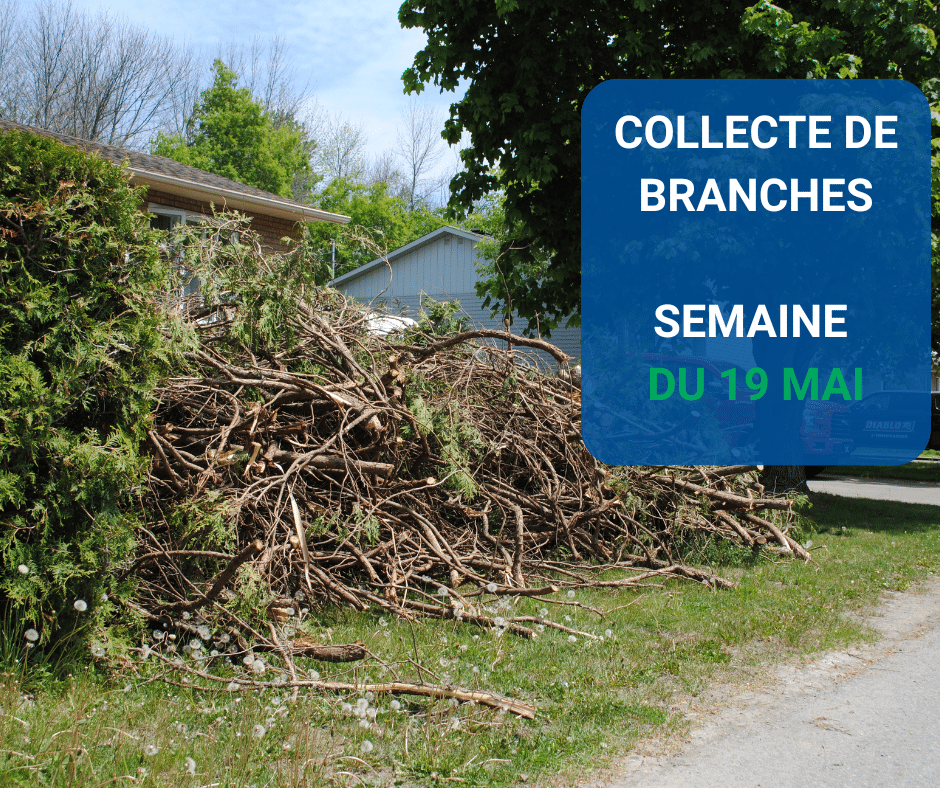 Collecte de branches : inscription non requise
