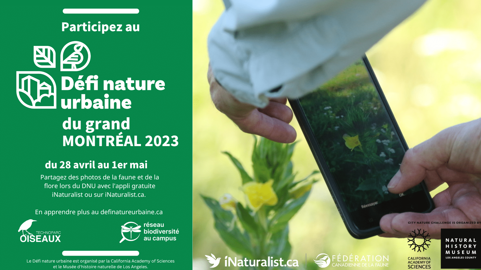 Défi nature urbaine du Grand Montréal, la population est invitée à une activité sur la nature et la biodiversité