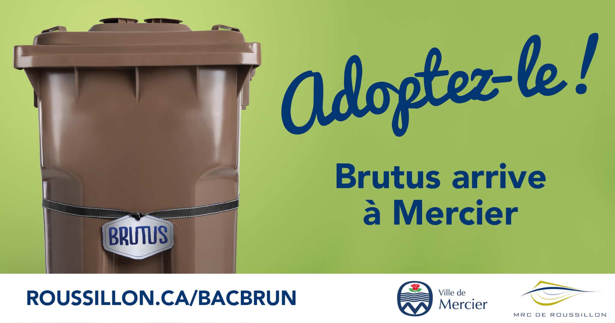 Bacs bruns: Brutus arrive en ville!