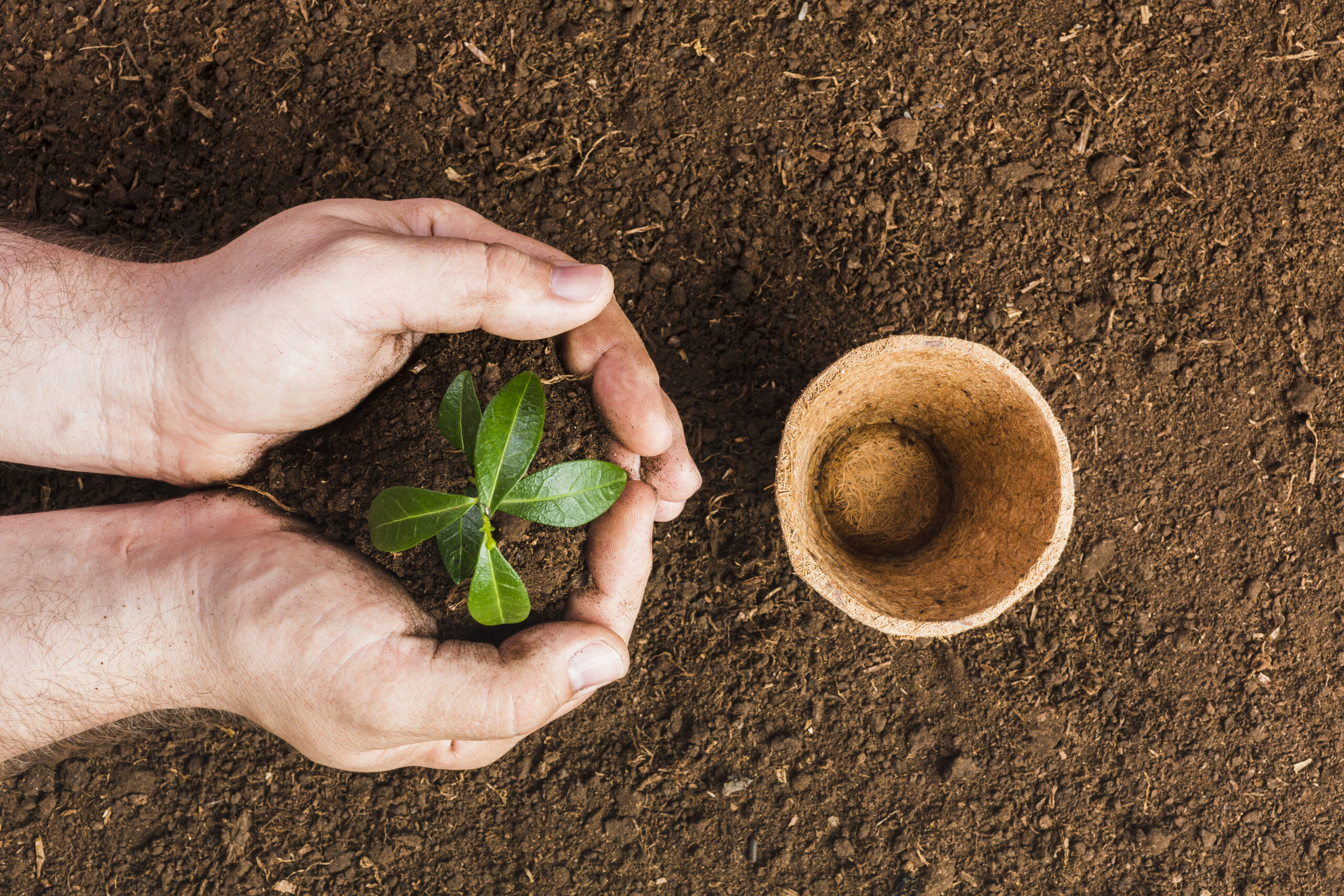 Nouvelle initiative de 24 lots de jardins communautaires à Mercier